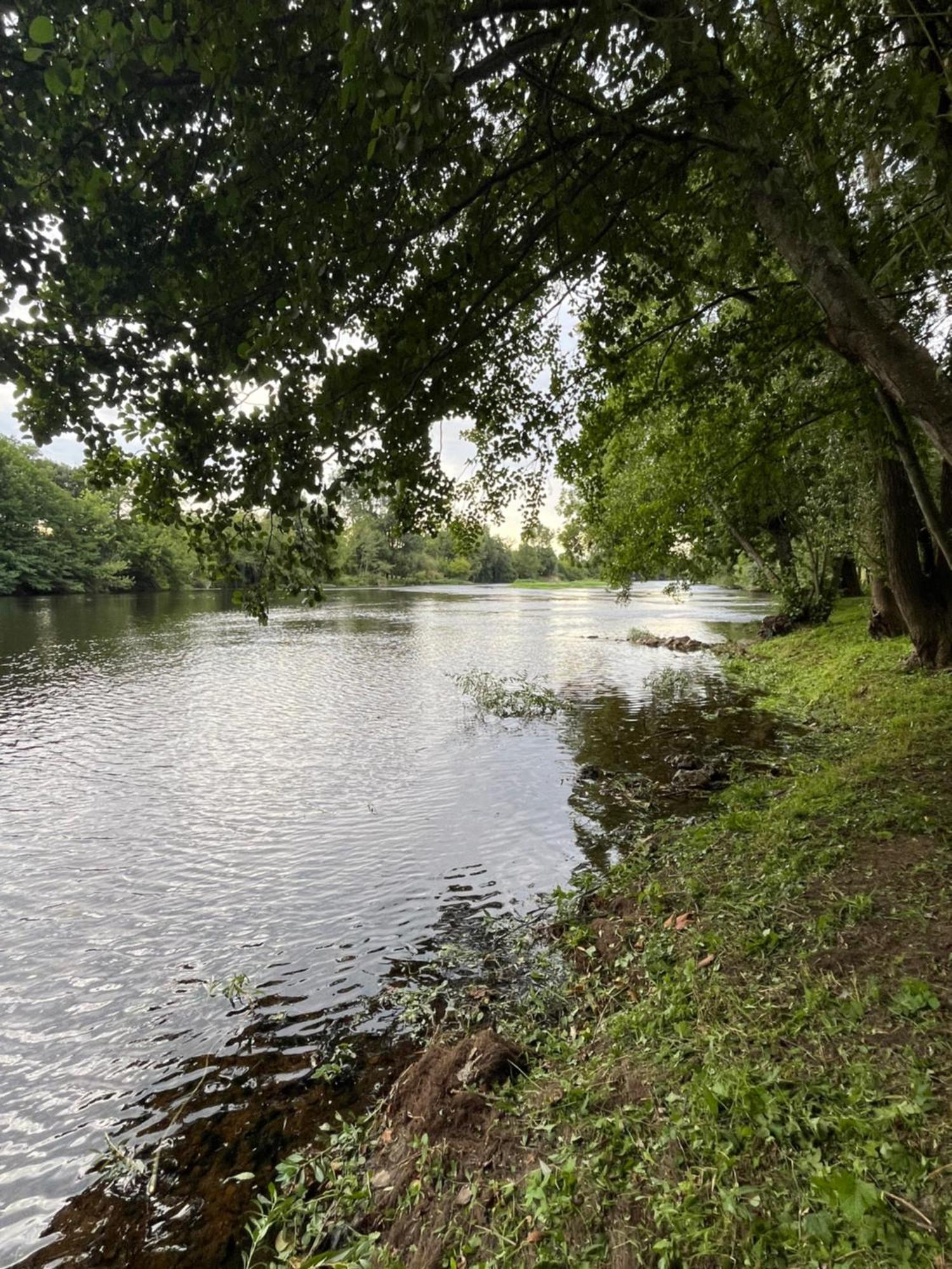 Paisible En Bord De Vienne *